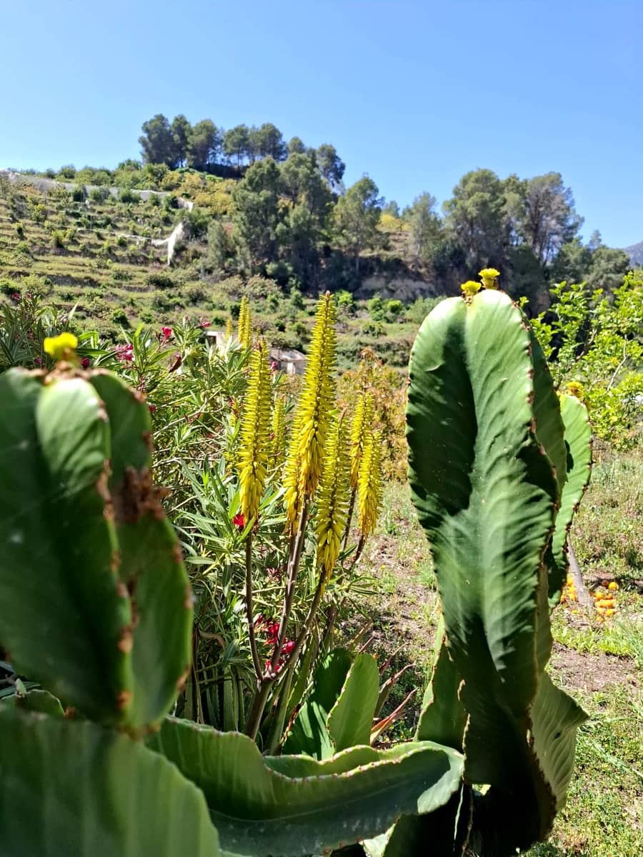 Finca/Casa Rural de 3 habitaciones en Polop en venta - 450.000 € (Ref: 10181933)