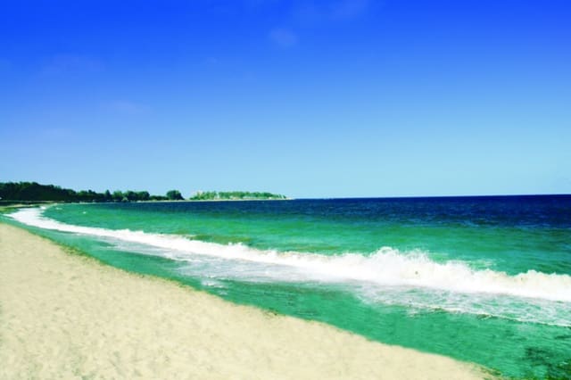 Undeveloped Land for sale in Vera - € 149,000 (Ref: 5316305)