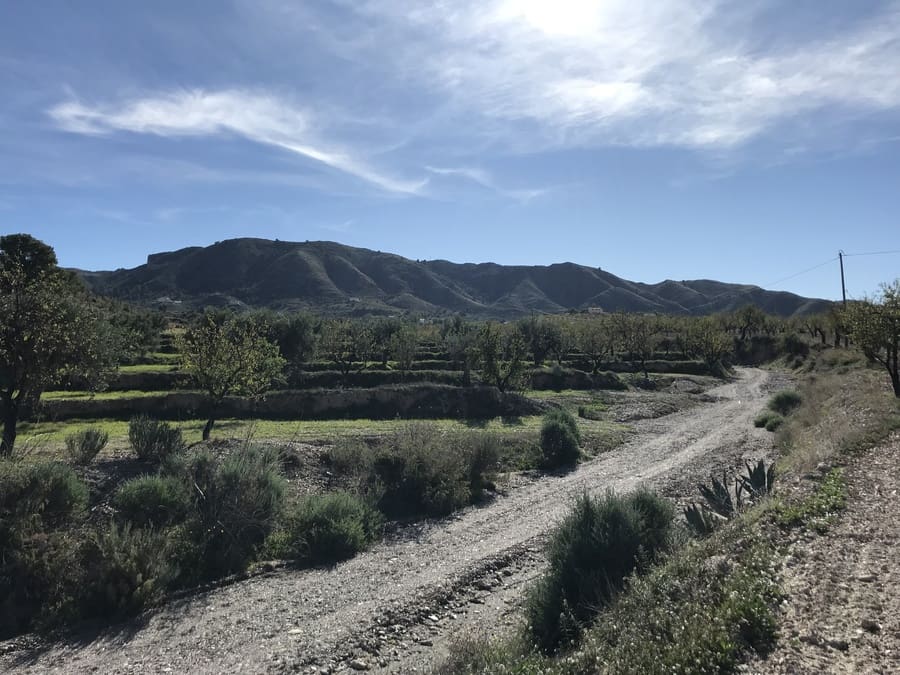 4 sypialnia Finka/Dom wiejski na sprzedaż w Lorca z garażem - 374 995 € (Ref: 6870708)