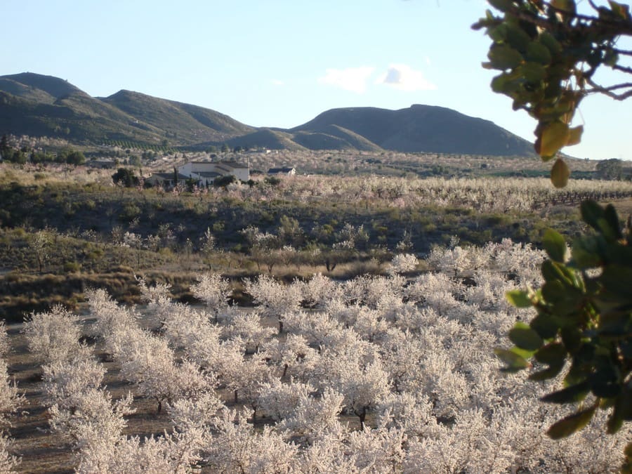 4 sypialnia Finka/Dom wiejski na sprzedaż w Lorca z garażem - 374 995 € (Ref: 6870708)