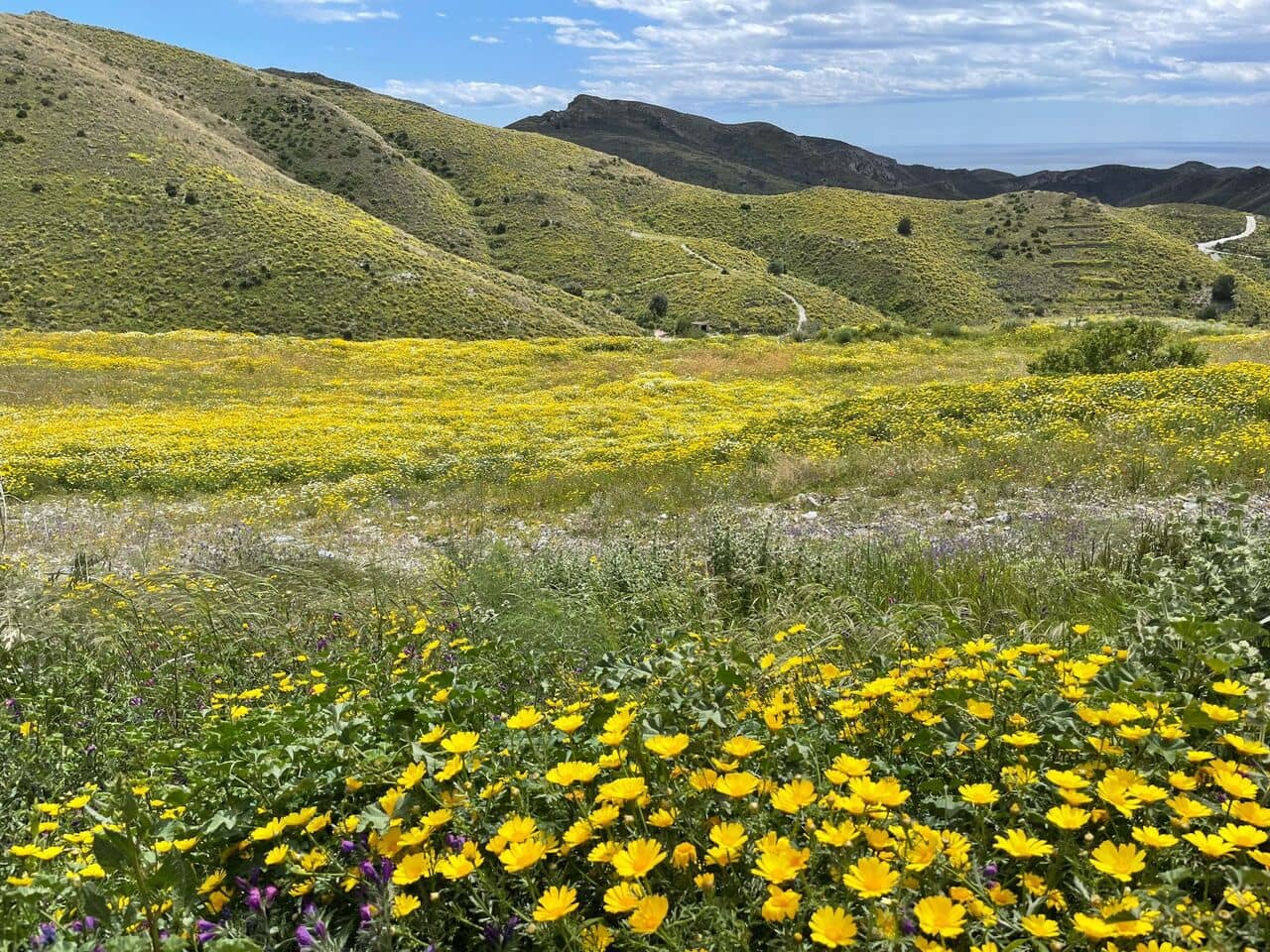 4 bedroom Finca/Country House for sale in Cartagena with garage - € 319,950 (Ref: 8326881)