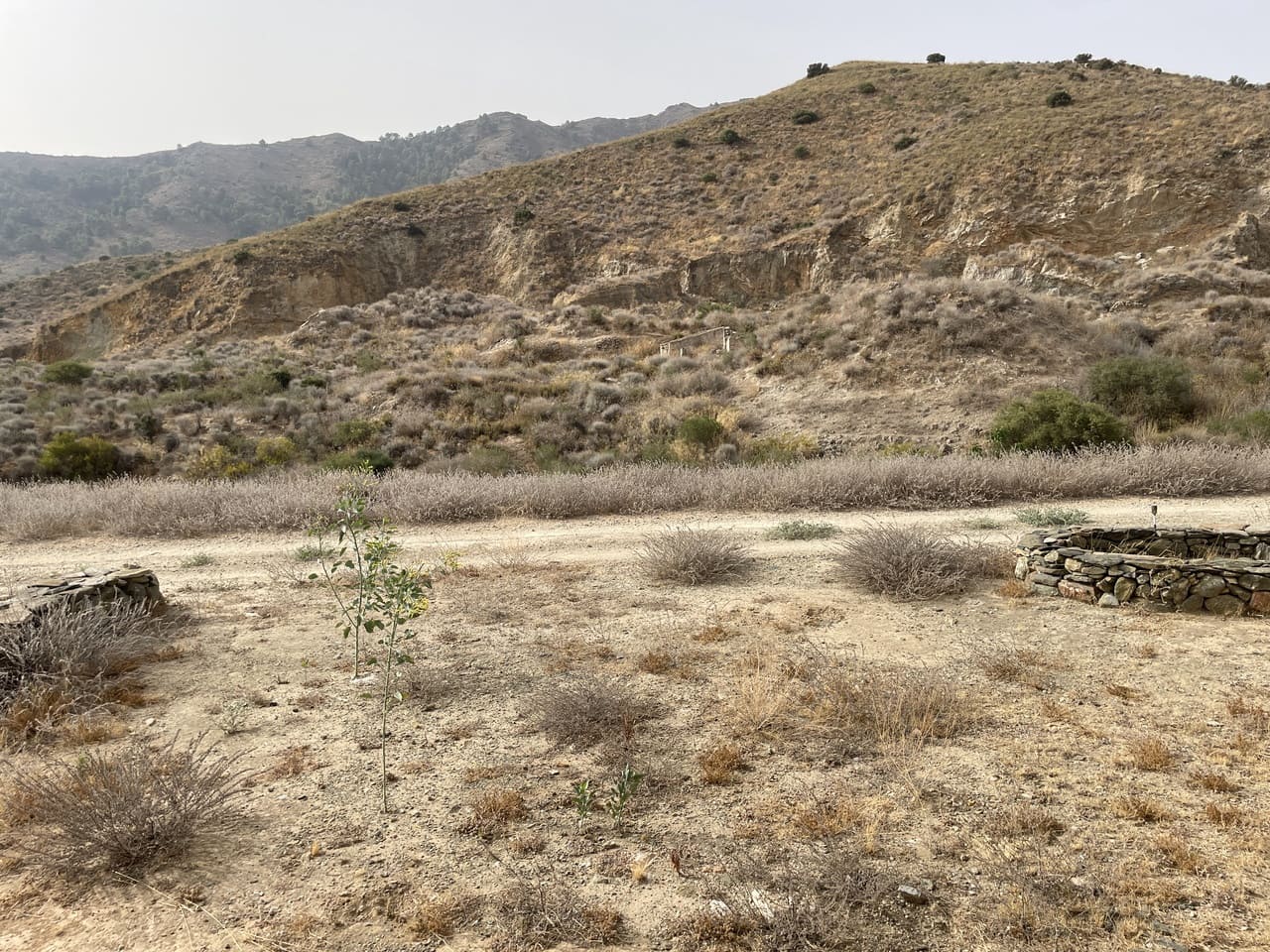 6 makuuhuone Maalaistalo myytävänä paikassa La Pinilla mukana 
autotalli - 259 950 € (Ref: 9191734)