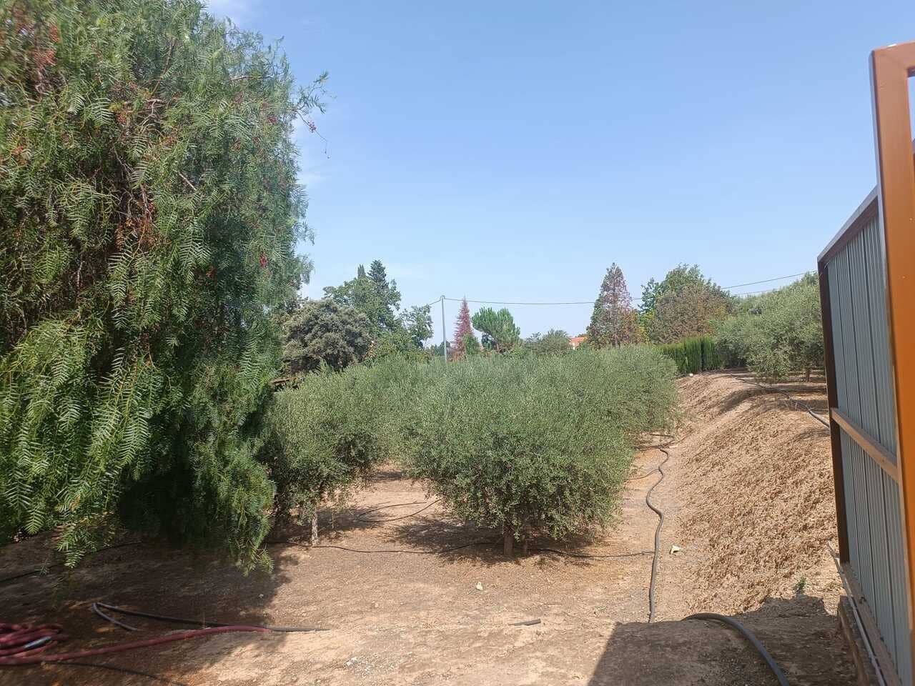 3 soverom Finca/Herregård til salgs i Cehegin med svømmebasseng - € 260 000 (Ref: 9201880)