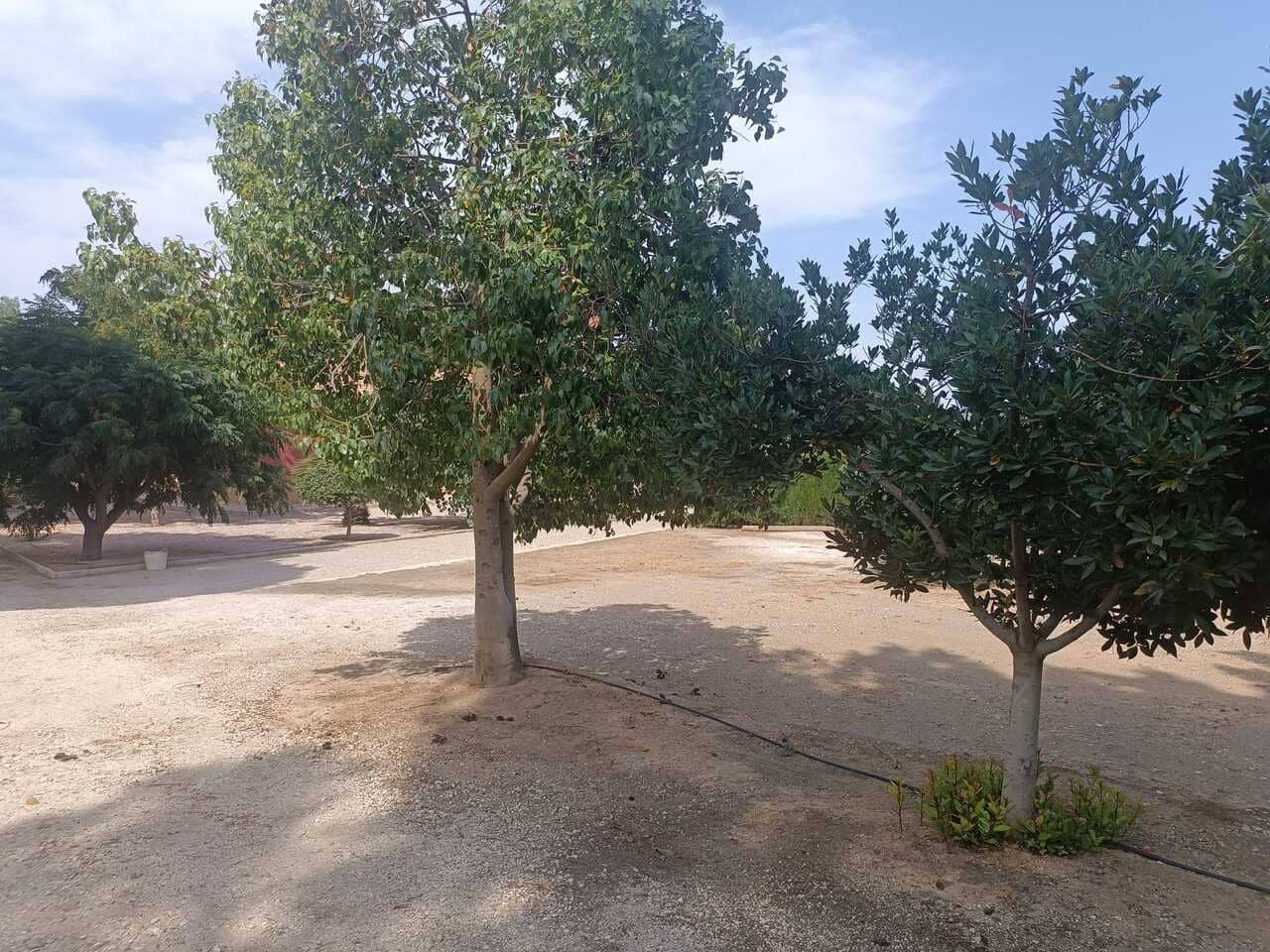 3 soverom Finca/Herregård til salgs i Cehegin med svømmebasseng - € 260 000 (Ref: 9201880)