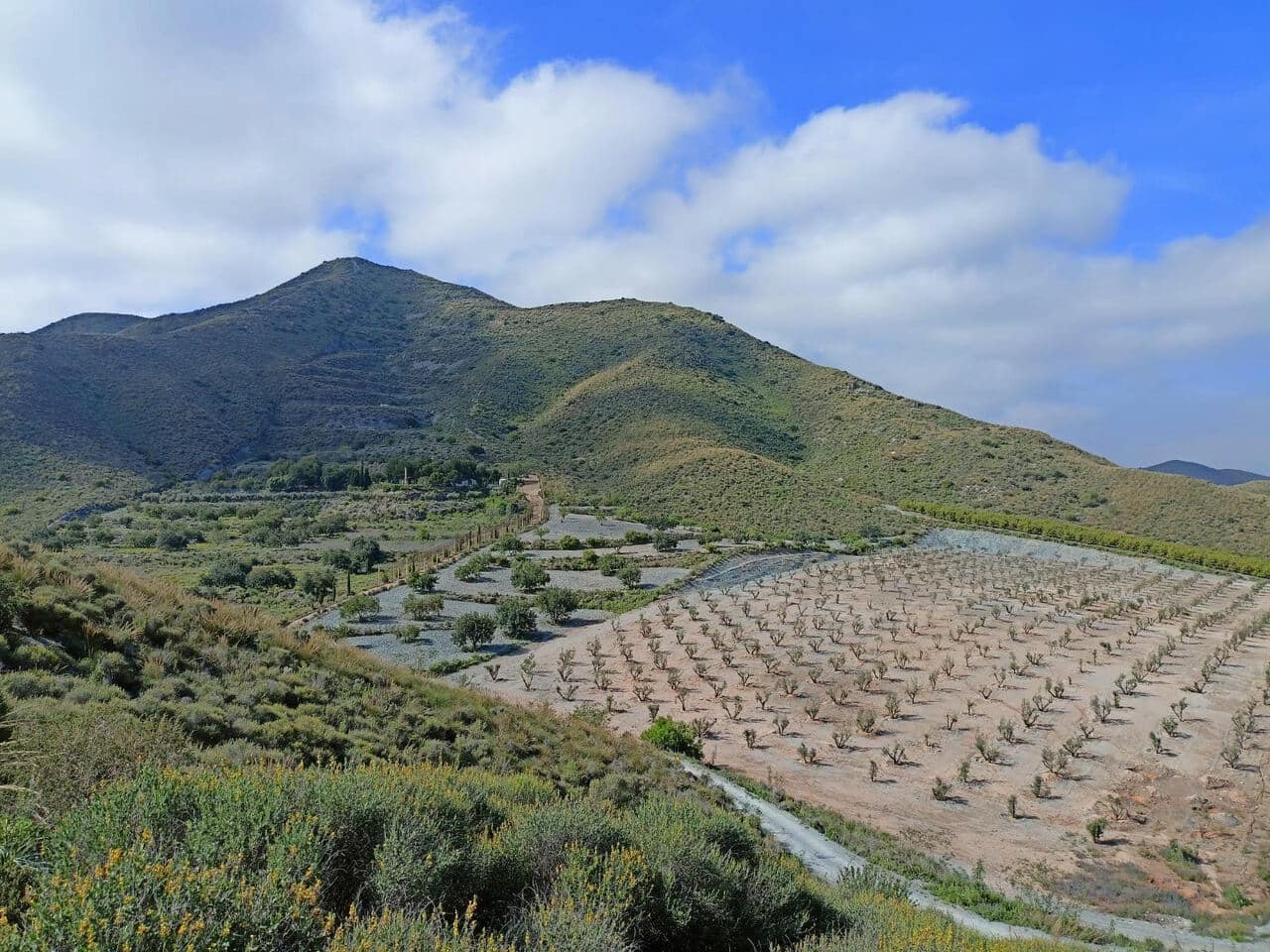 4 bedroom Villa for sale in Cartagena with pool - € 500,000 (Ref: 9207480)