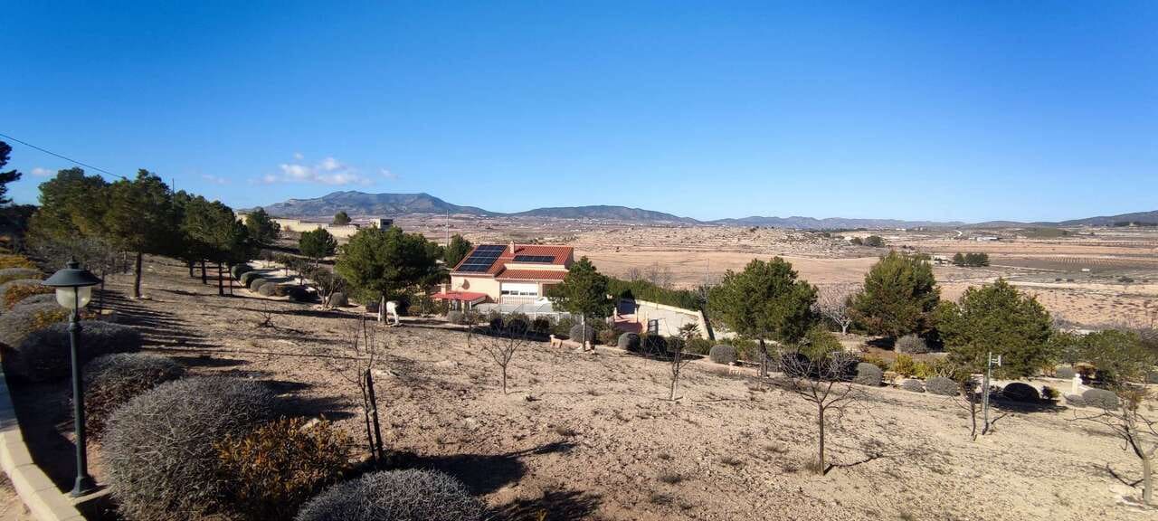 3 bedroom Villa for sale in Pinoso with pool - € 399,995 (Ref: 9235237)