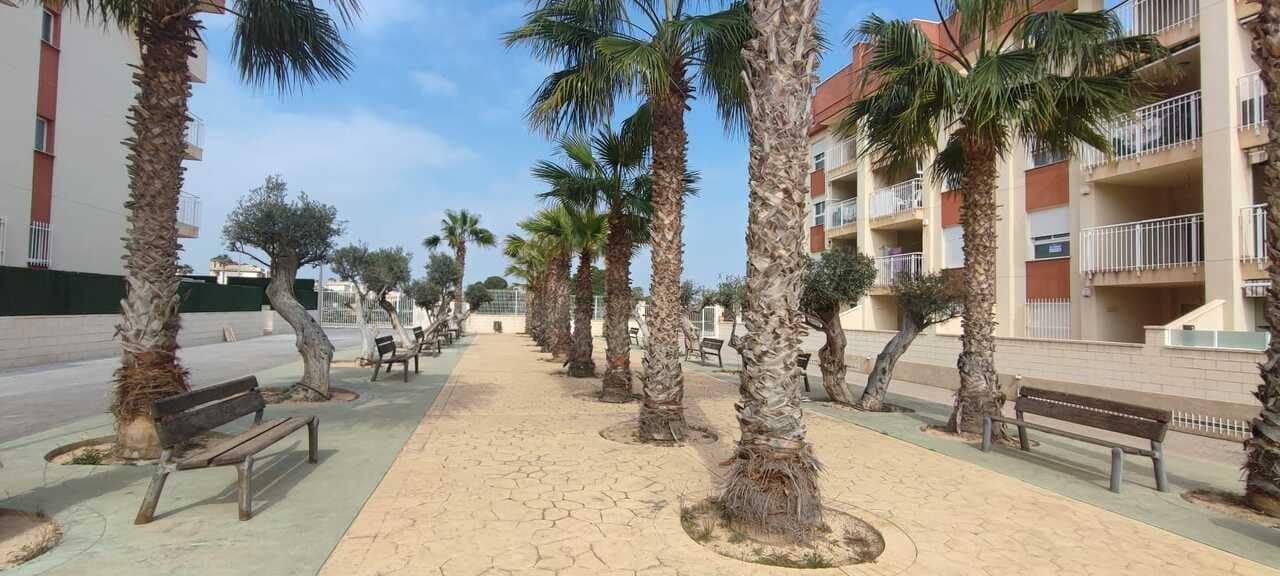 2 soverom Leilighet til salgs i Cabo Roig med svømmebasseng garasje - € 159 500 (Ref: 9235247)