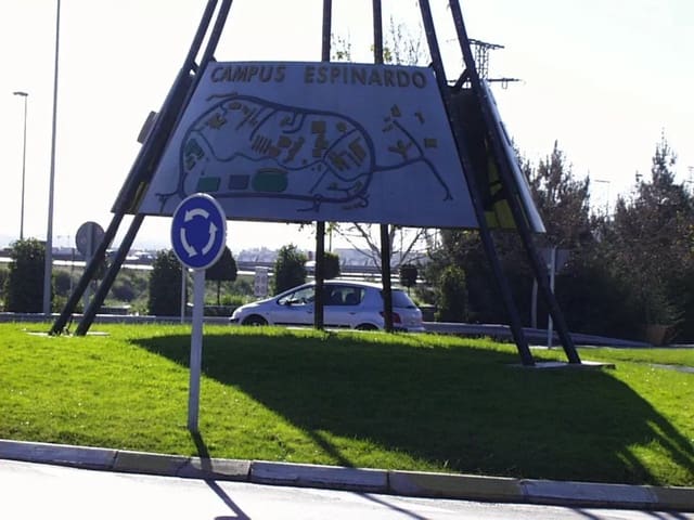 Undeveloped Land for sale in Rincón de Seca, Murcia city - € 95,000 (Ref: 9838231)