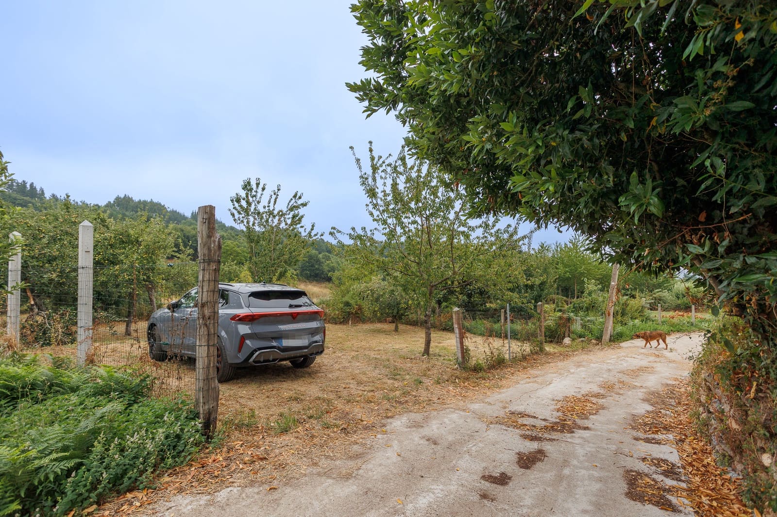 2 quarto Quinta/Casa Rural para venda em Boveda com garagem - 170 000 € (Ref: 10012213)