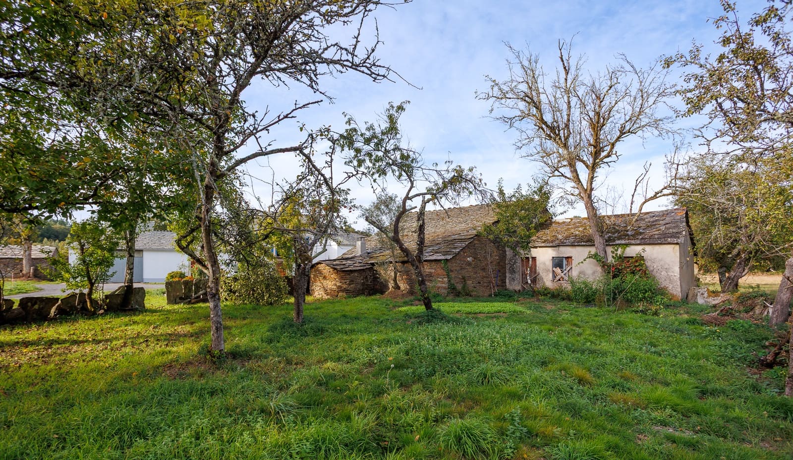 Finca/Casa Rural de 5 habitaciones en Begonte en venta con garaje - 599.000 € (Ref: 10185906)