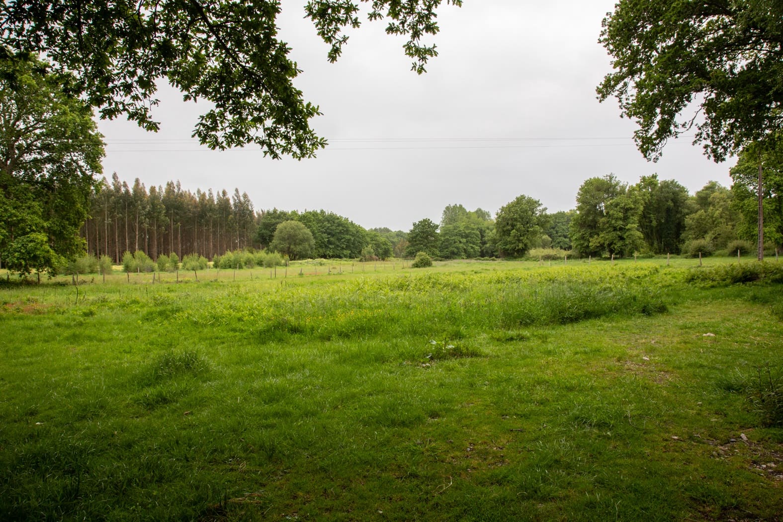 6 soveværelse Finca/Landehus til salg i Vilalba - € 225.000 (Ref: 8449515)