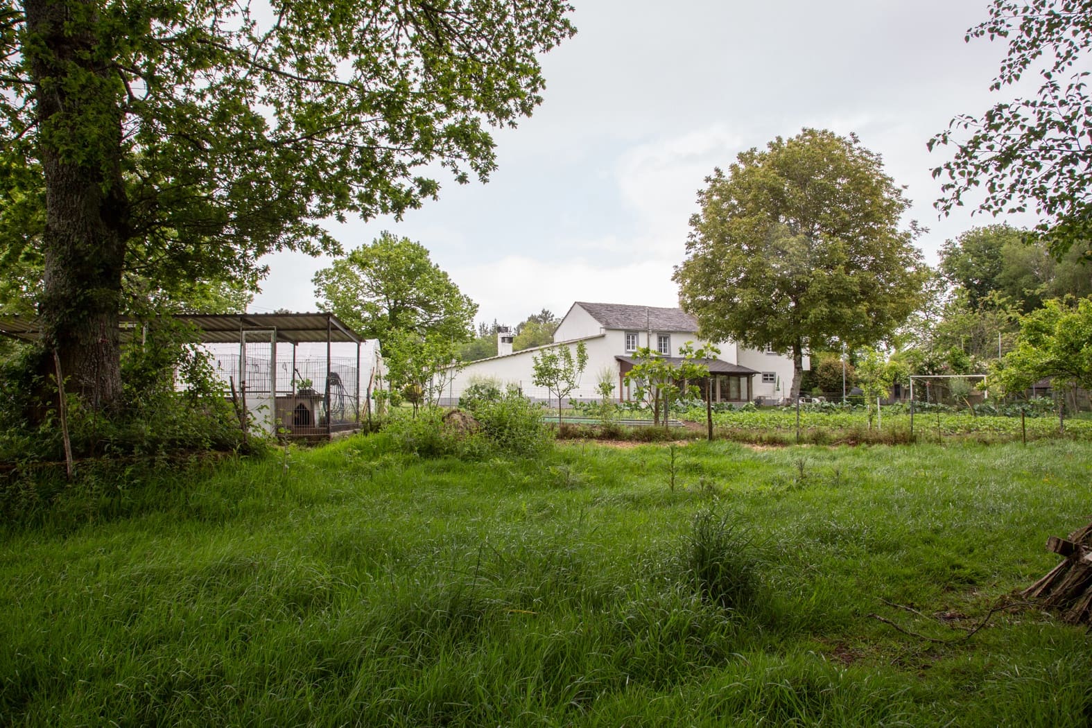 6 soveværelse Finca/Landehus til salg i Vilalba - € 225.000 (Ref: 8449515)