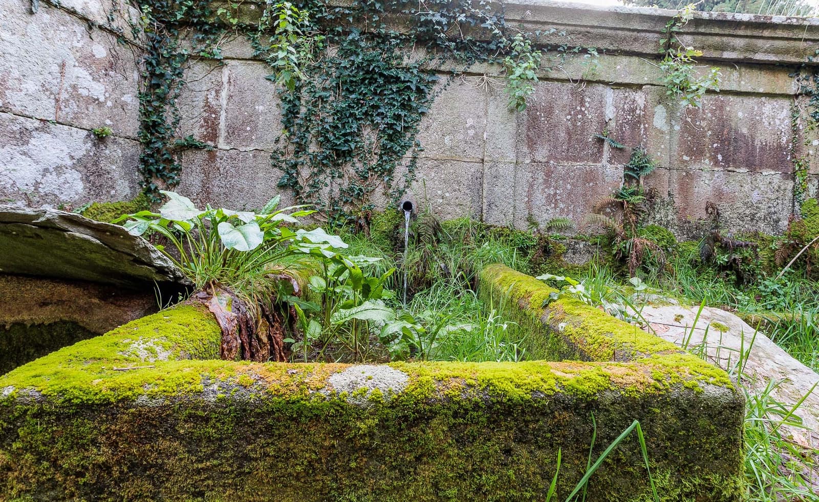 6 soverom Finca/Herregård til salgs i Lugo by - € 425 000 (Ref: 8449523)