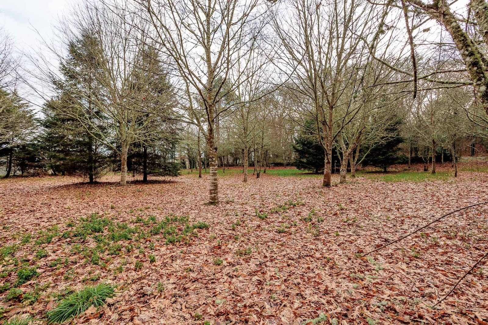 6 soverom Finca/Herregård til salgs i Lugo by - € 425 000 (Ref: 8449523)