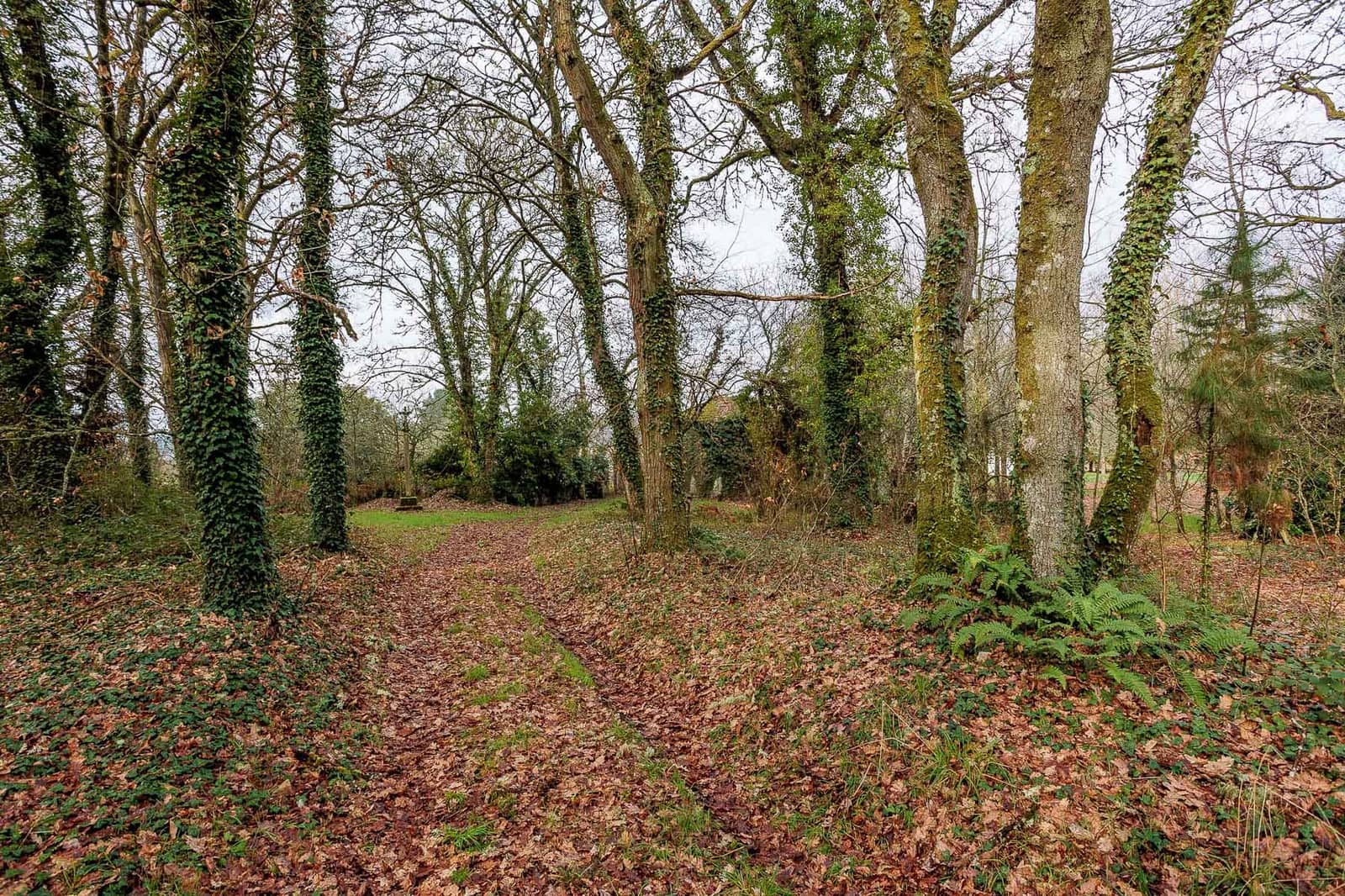 6 soverom Finca/Herregård til salgs i Lugo by - € 425 000 (Ref: 8449523)