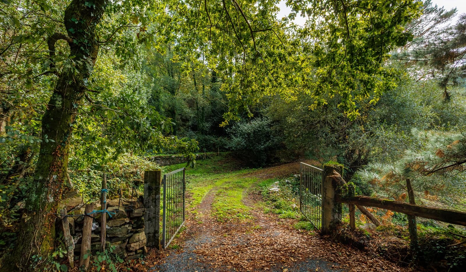 4 soveværelse Finca/Landehus til salg i Ourol - € 240.000 (Ref: 8449524)