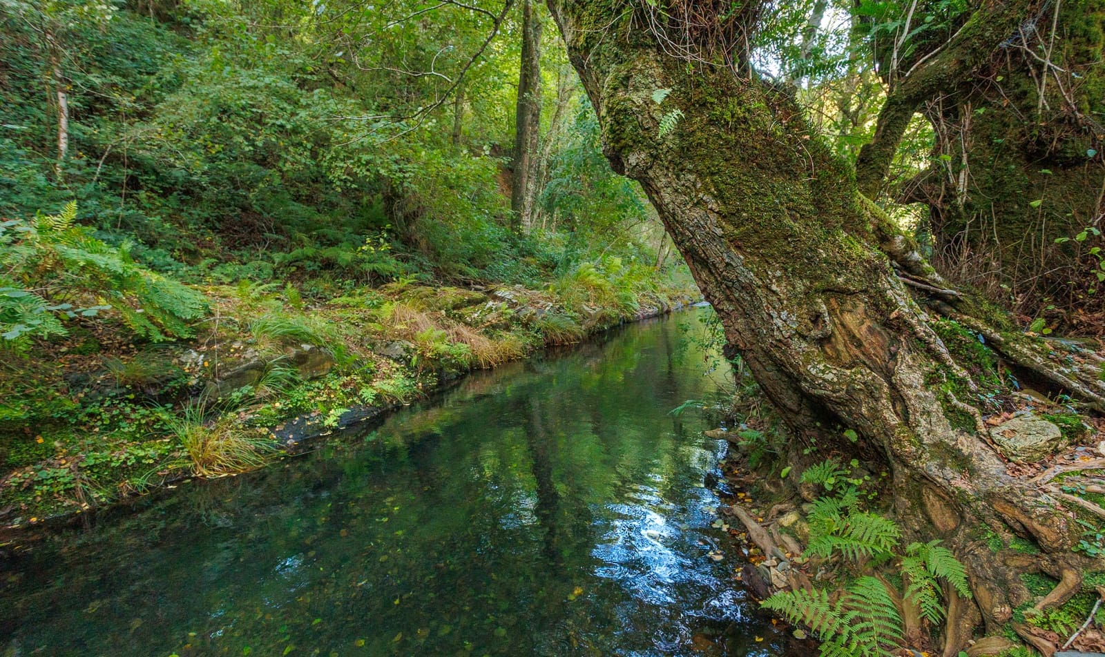 4 soveværelse Finca/Landehus til salg i Ourol - € 240.000 (Ref: 8449524)