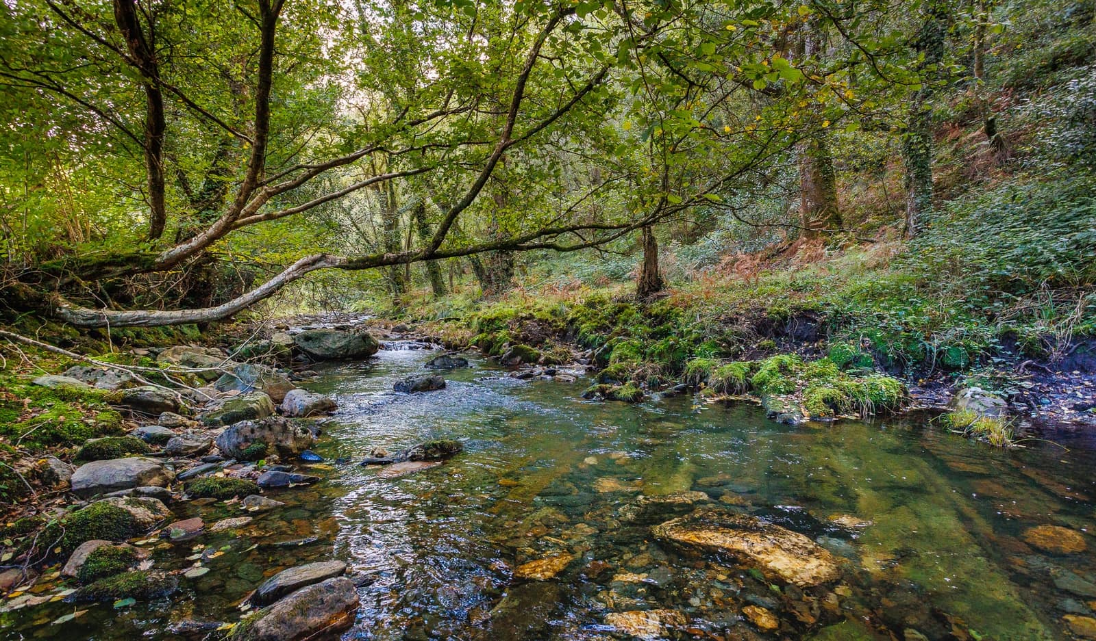 4 soveværelse Finca/Landehus til salg i Ourol - € 240.000 (Ref: 8449524)