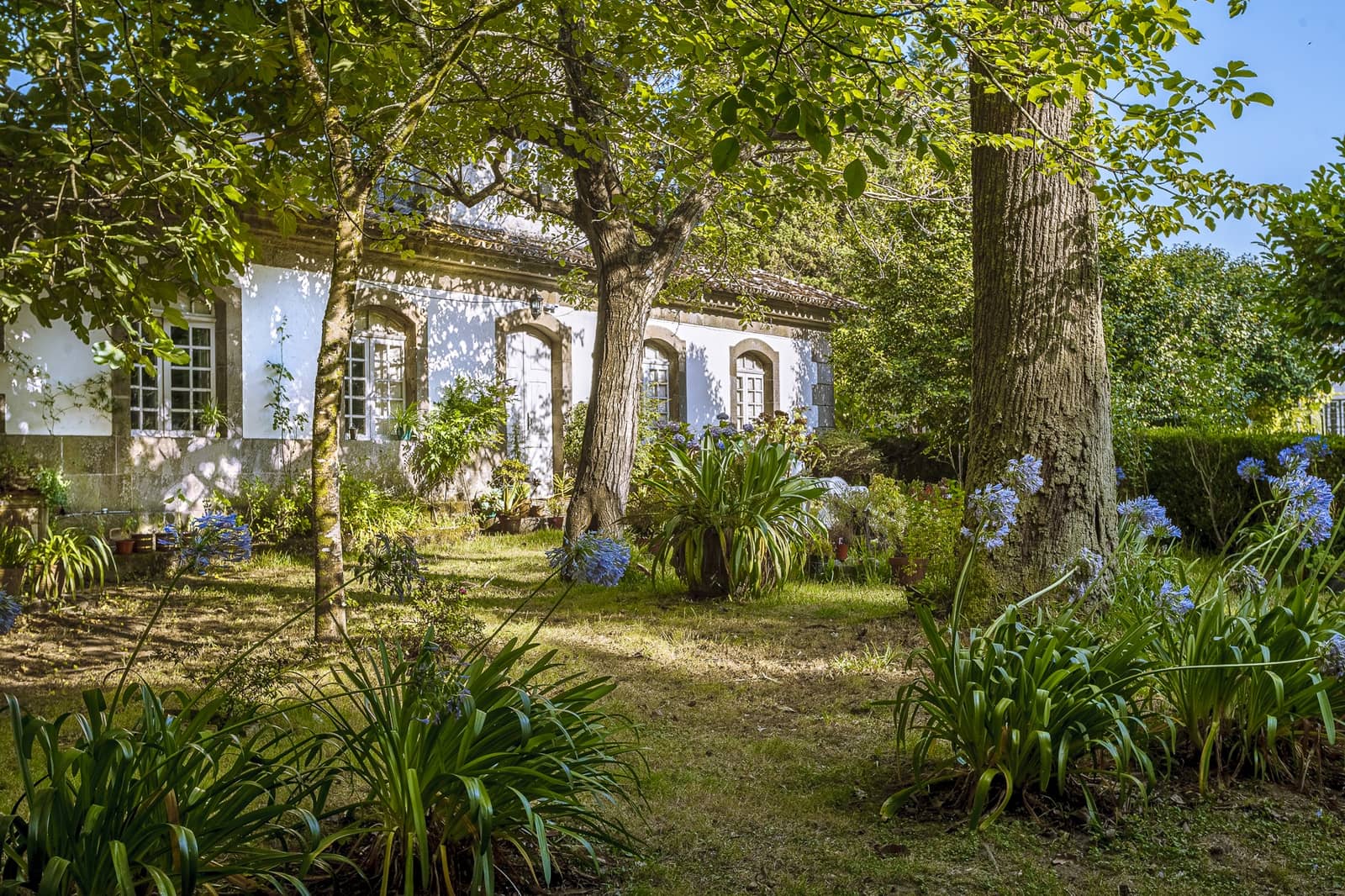 16 Zimmer Finca/Landgut zu verkaufen in Pontevedra Stadt - 3.250.000 € (Ref: 8449533)