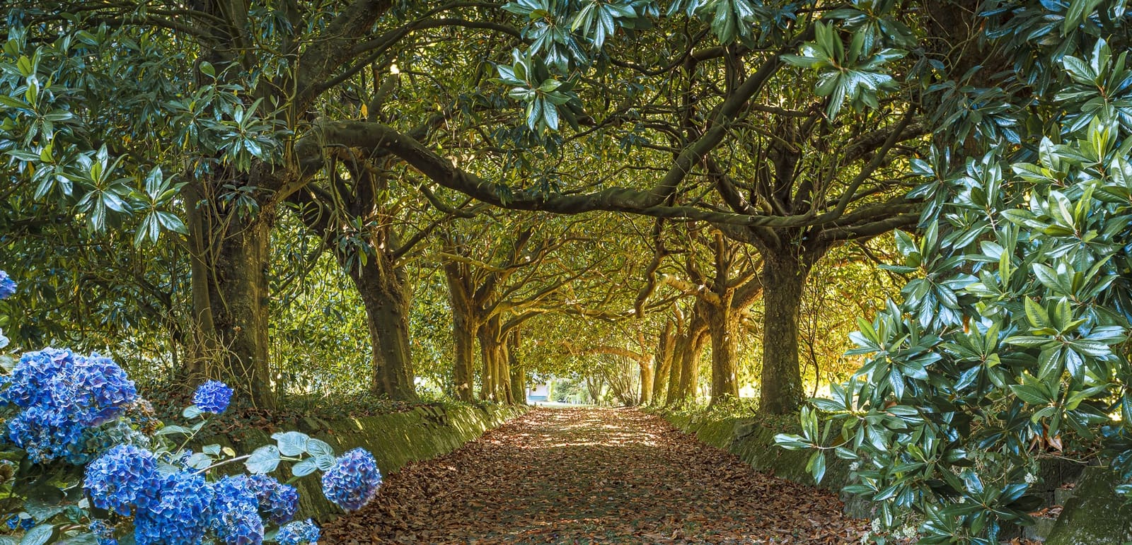 16 Zimmer Finca/Landgut zu verkaufen in Pontevedra Stadt - 3.250.000 € (Ref: 8449533)