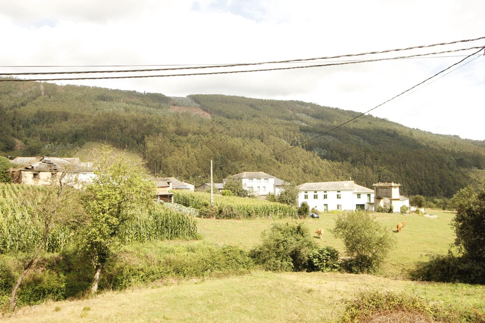 5 soverom Finca/Herregård til salgs i Mondonedo - € 199 000 (Ref: 8449543)