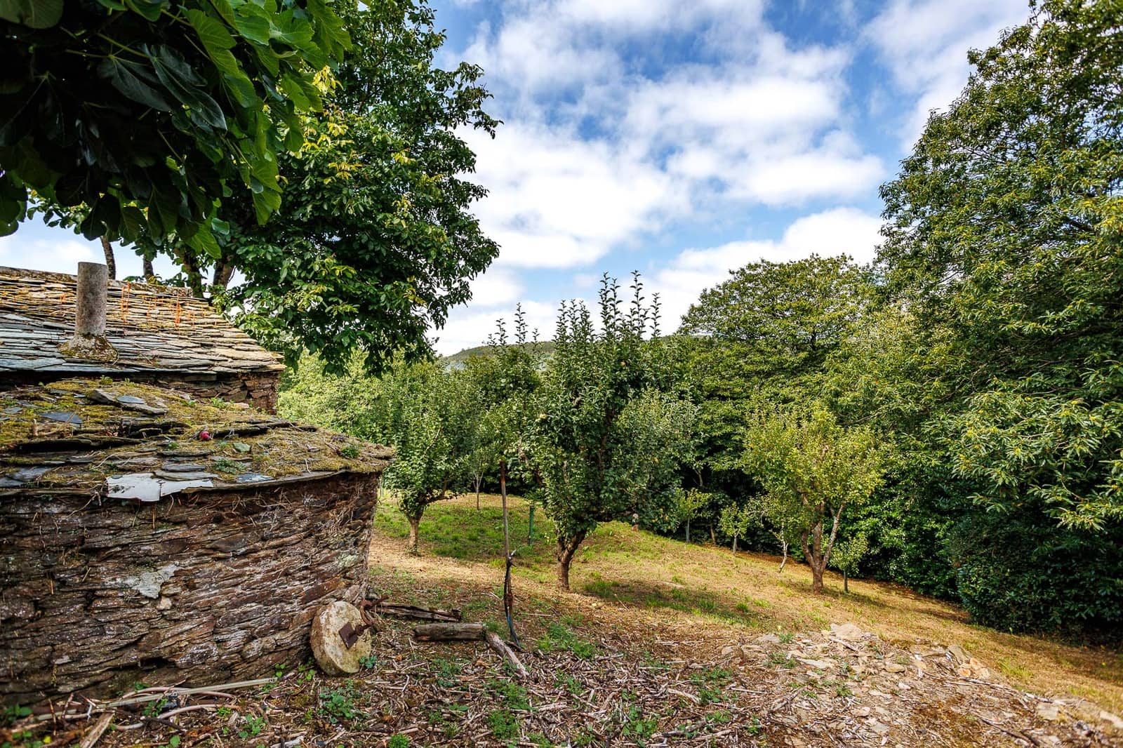 5 soveværelse Finca/Landehus til salg i Riotorto - € 145.000 (Ref: 8449548)