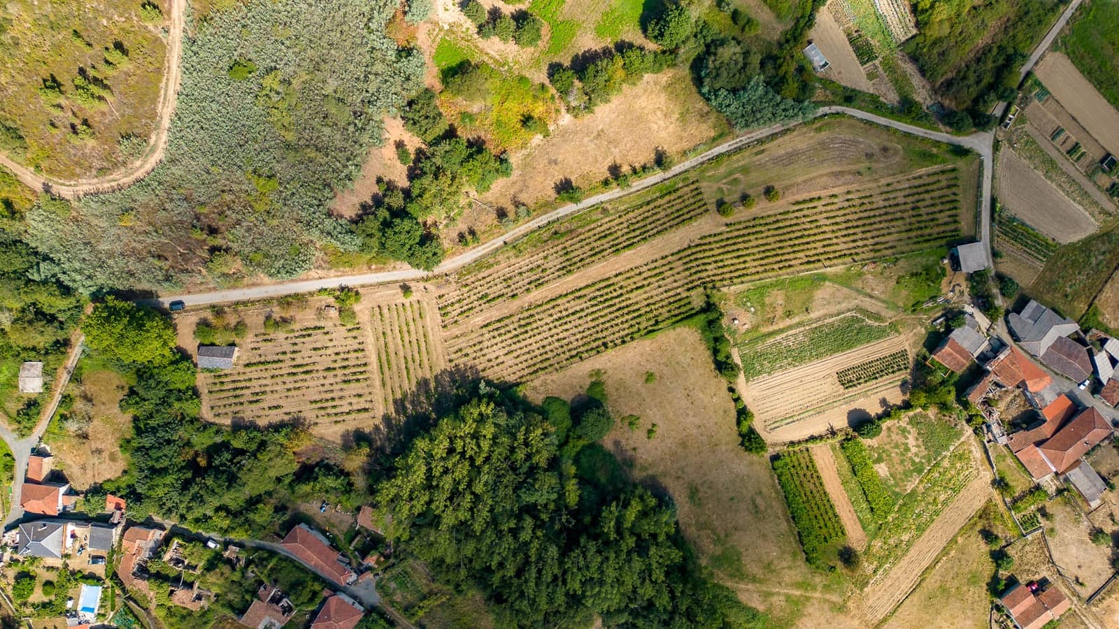 1 soveværelse Virksomhed til salg i Monforte de Lemos - € 69.900 (Ref: 8449561)