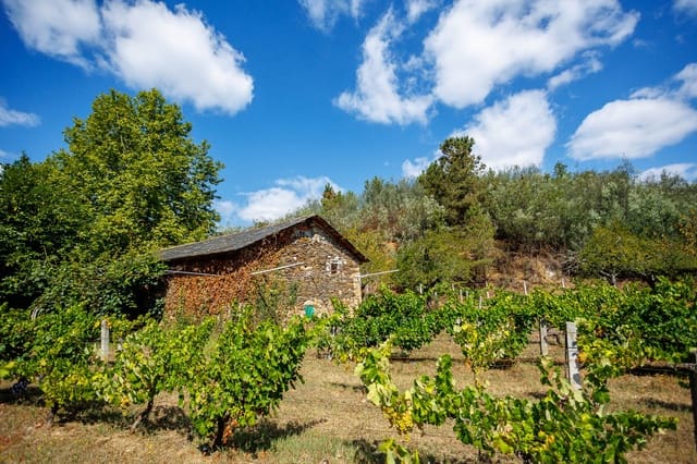 1 soveværelse Virksomhed til salg i Monforte de Lemos - € 69.900 (Ref: 8449561)