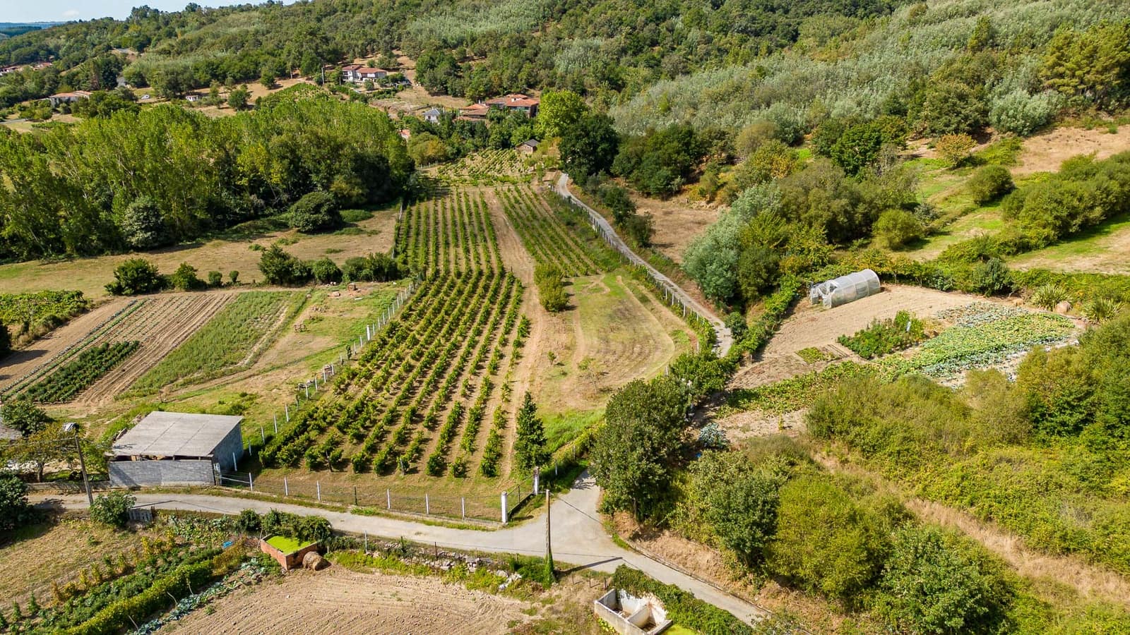 1 soveværelse Virksomhed til salg i Monforte de Lemos - € 69.900 (Ref: 8449561)
