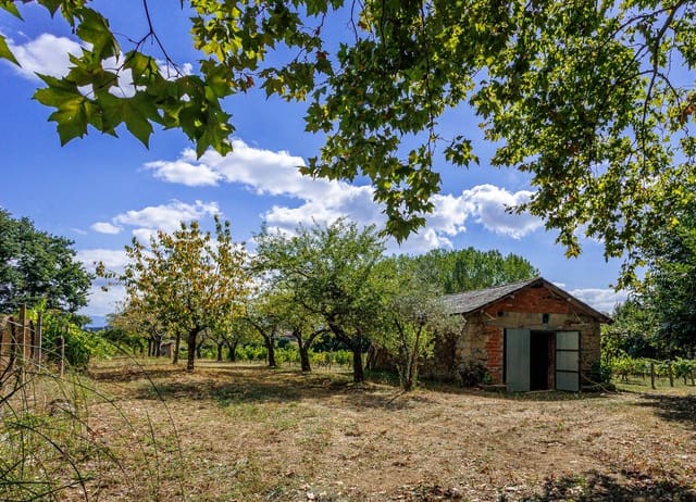 1 soveværelse Virksomhed til salg i Monforte de Lemos - € 69.900 (Ref: 8449561)