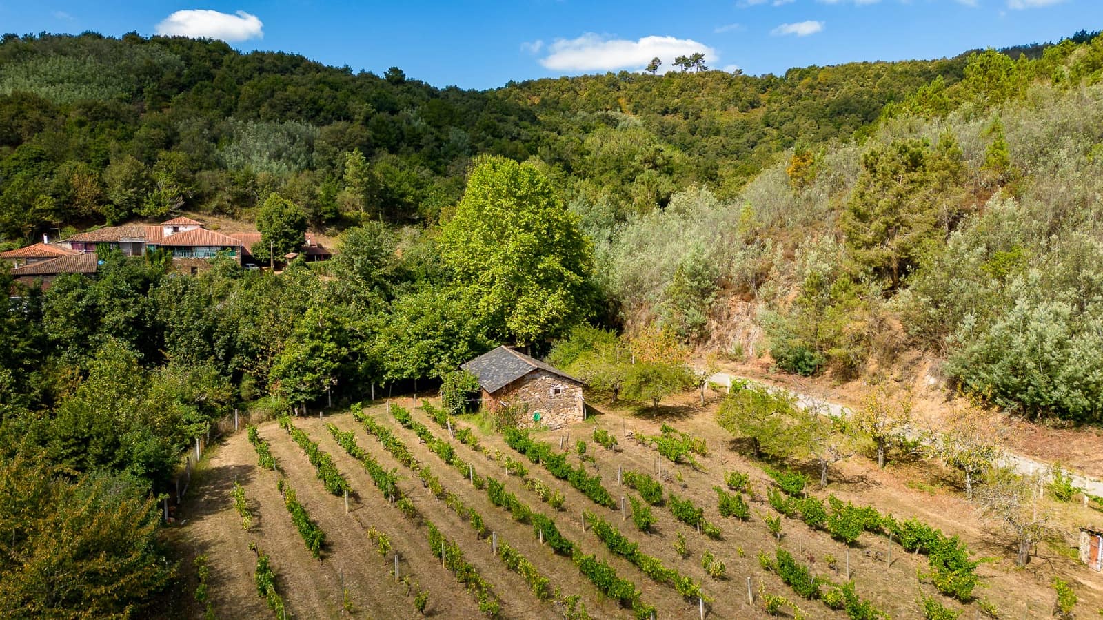 1 soveværelse Virksomhed til salg i Monforte de Lemos - € 69.900 (Ref: 8449561)