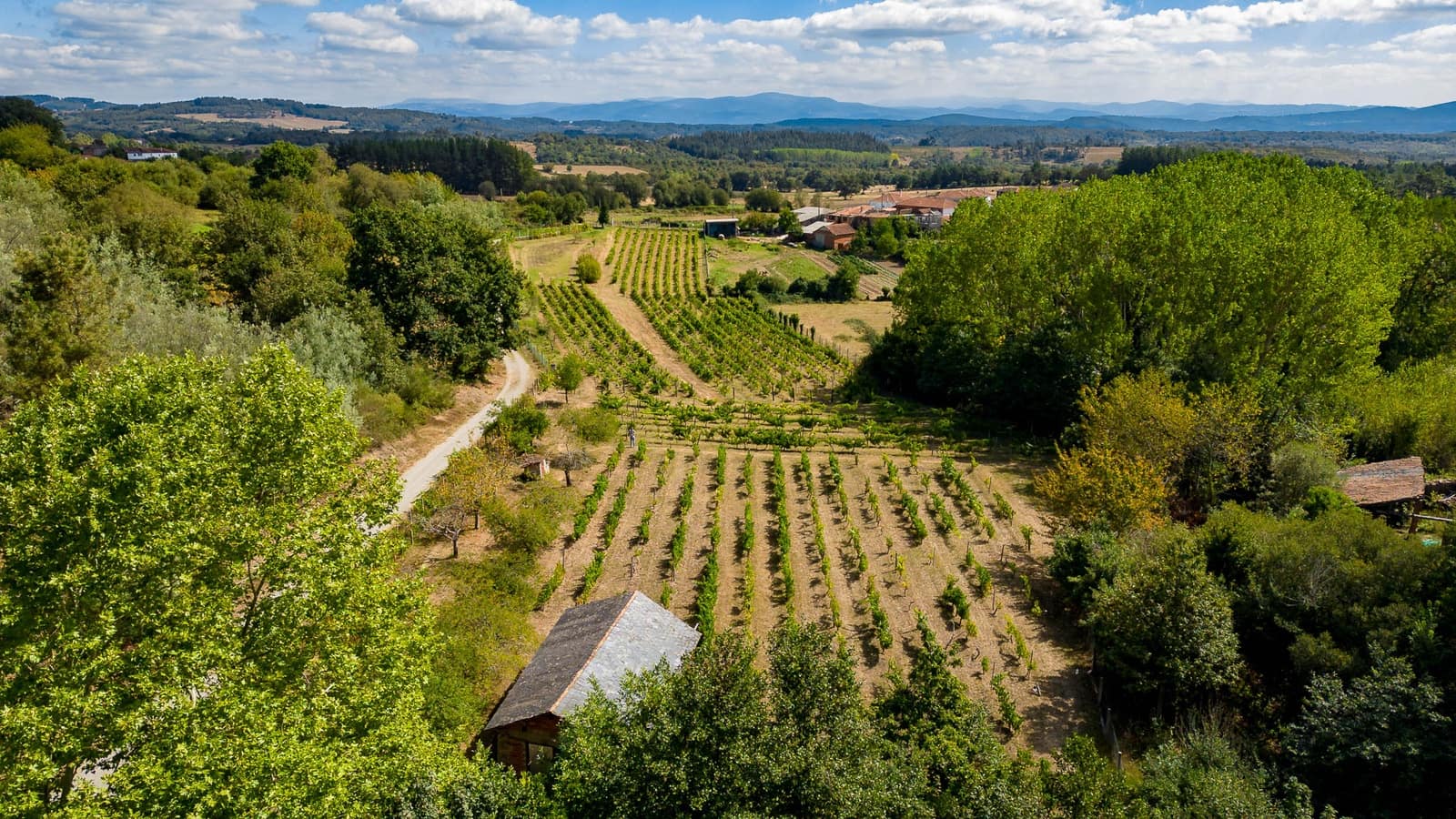 1 soveværelse Virksomhed til salg i Monforte de Lemos - € 69.900 (Ref: 8449561)