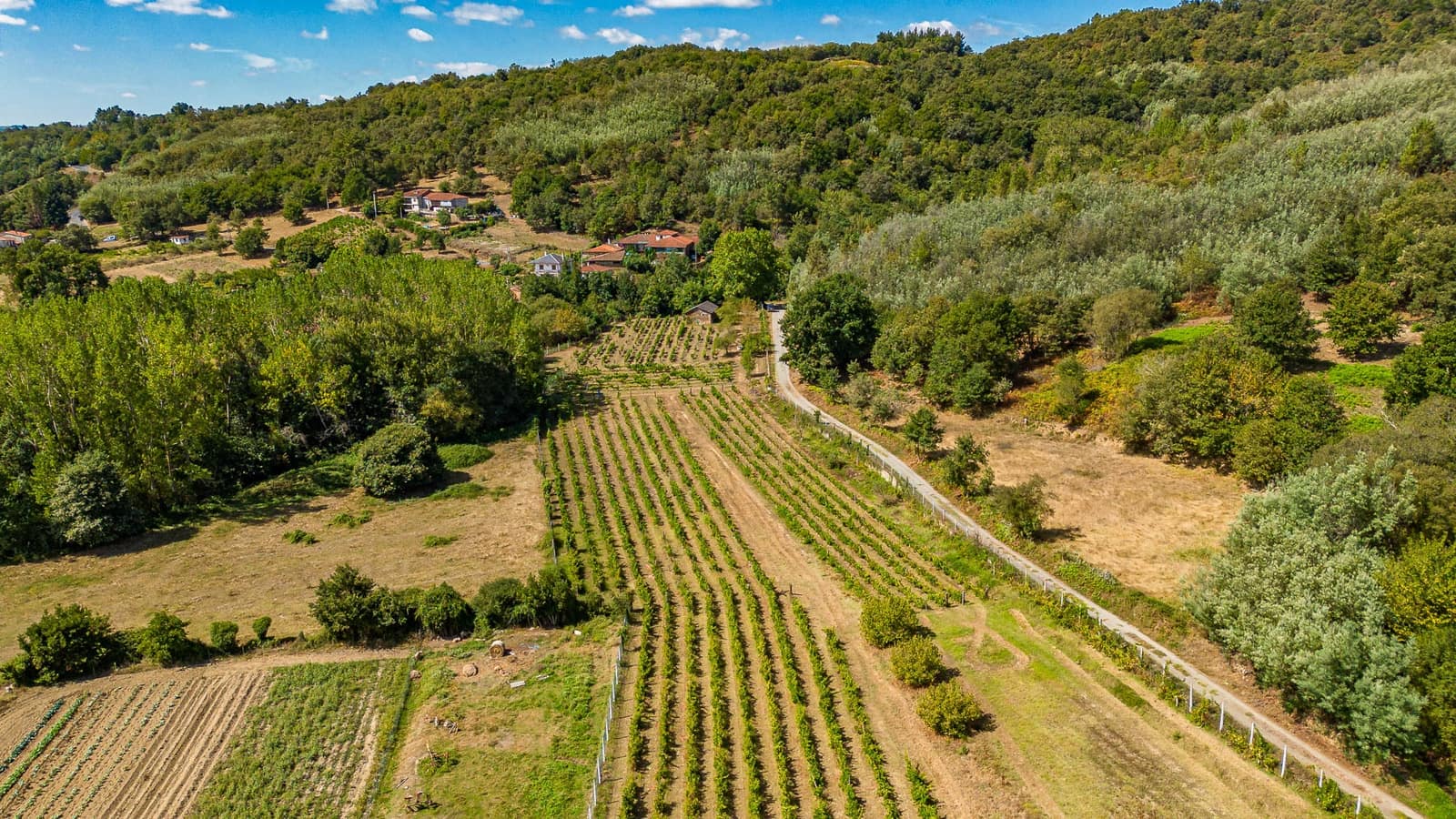 1 soveværelse Virksomhed til salg i Monforte de Lemos - € 69.900 (Ref: 8449561)