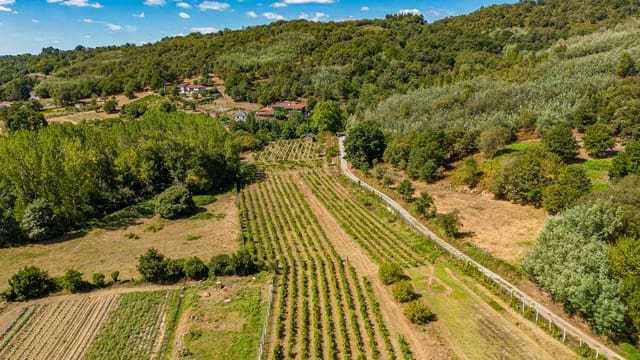 1 soveværelse Virksomhed til salg i Monforte de Lemos - € 69.900 (Ref: 8449561)