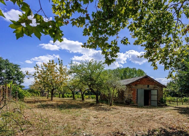 1 chambre Entreprise à vendre à Monforte de Lemos - 69 900 € (Ref: 8449561)