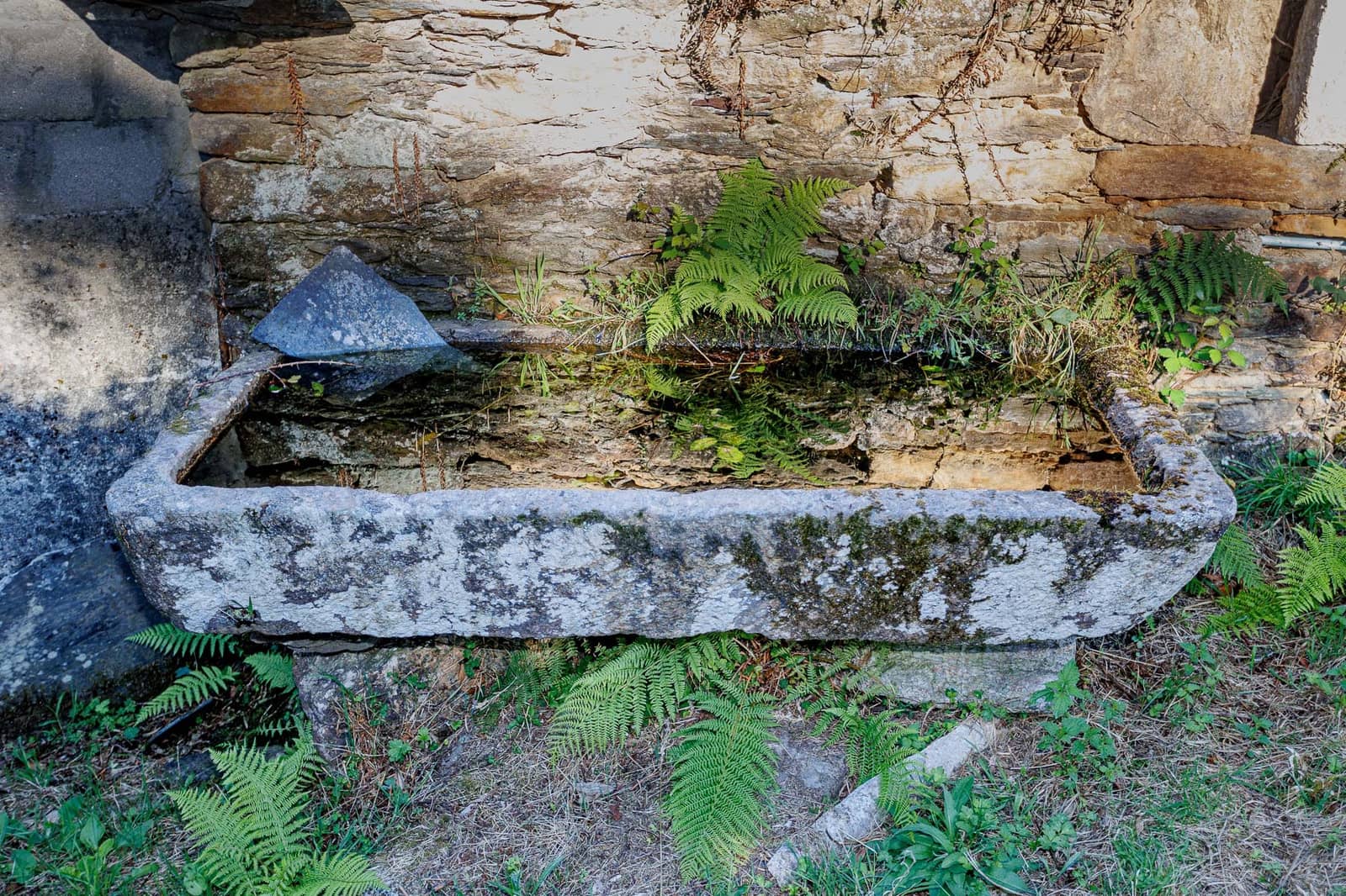 4 quarto Quinta/Casa Rural para venda em Somozas - 70 000 € (Ref: 8449565)