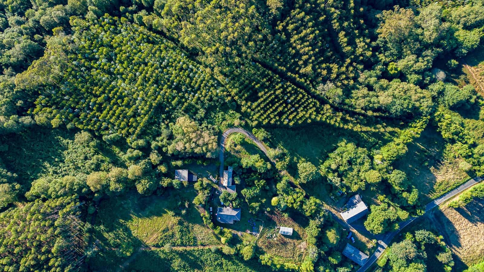 4 quarto Quinta/Casa Rural para venda em Somozas - 70 000 € (Ref: 8449565)