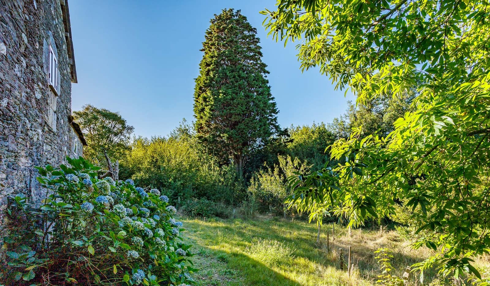 4 quarto Quinta/Casa Rural para venda em Somozas - 70 000 € (Ref: 8449565)