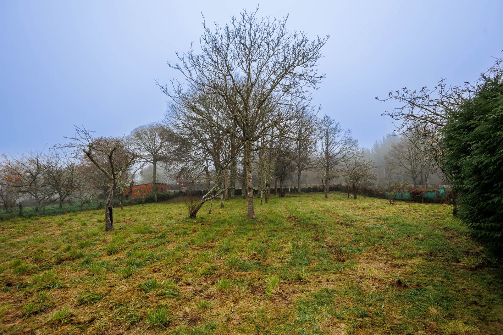 3 soveværelse Finca/Landehus til salg i Guitiriz med garage - € 219.000 (Ref: 8449567)