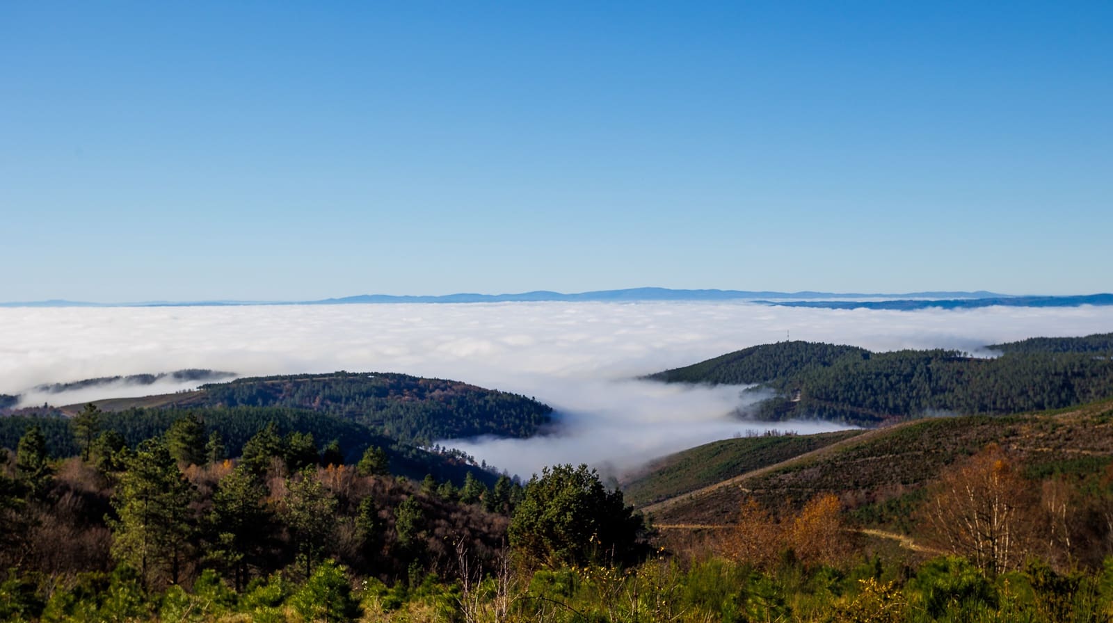 12 quarto Moradia para venda em A Pobra de Brollon - 1 510 000 € (Ref: 8449568)