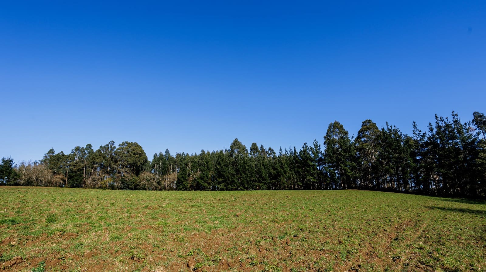 4 soverom Bedrift til salgs i Abegondo - € 200 000 (Ref: 8449574)