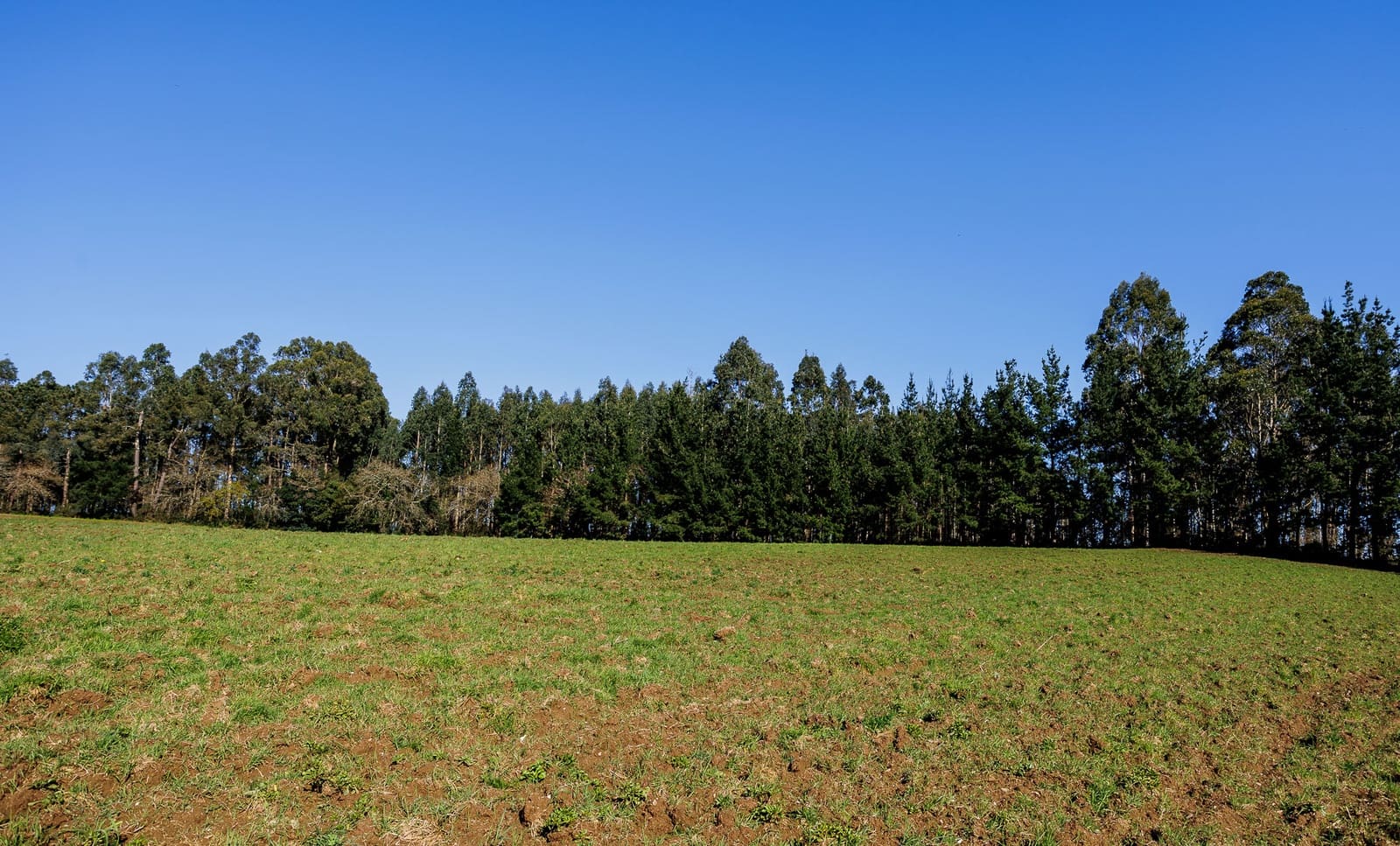 4 soverom Bedrift til salgs i Abegondo - € 200 000 (Ref: 8449574)