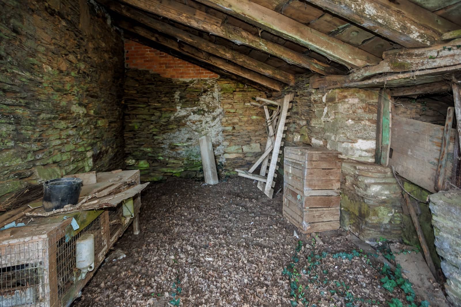 13 chambre Finca/Maison de Campagne à vendre à Castro de Rei - 210 000 € (Ref: 8449617)