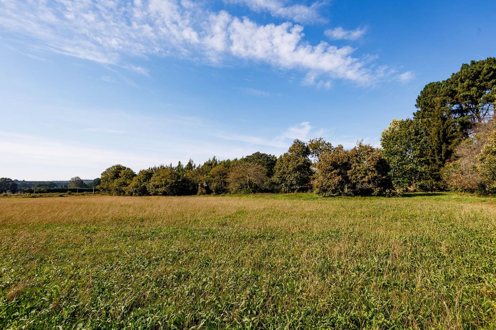 13 soverom Finca/Herregård til salgs i Castro de Rei med garasje - € 210 000 (Ref: 8449617)