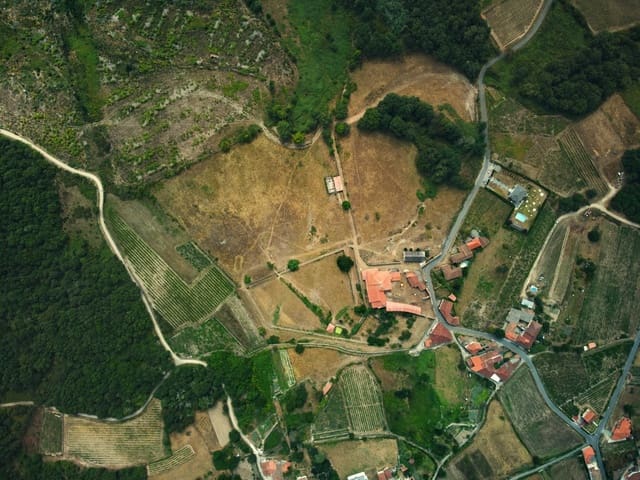 12 sovrum Finca/Hus på landet till salu i Pantón - 1 100 000 € (Ref: 8449627)