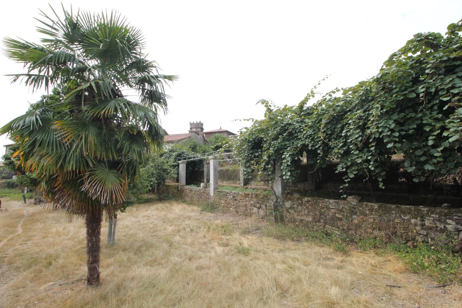 12 soverom Finca/Herregård til salgs i Panton - € 1 100 000 (Ref: 8449627)