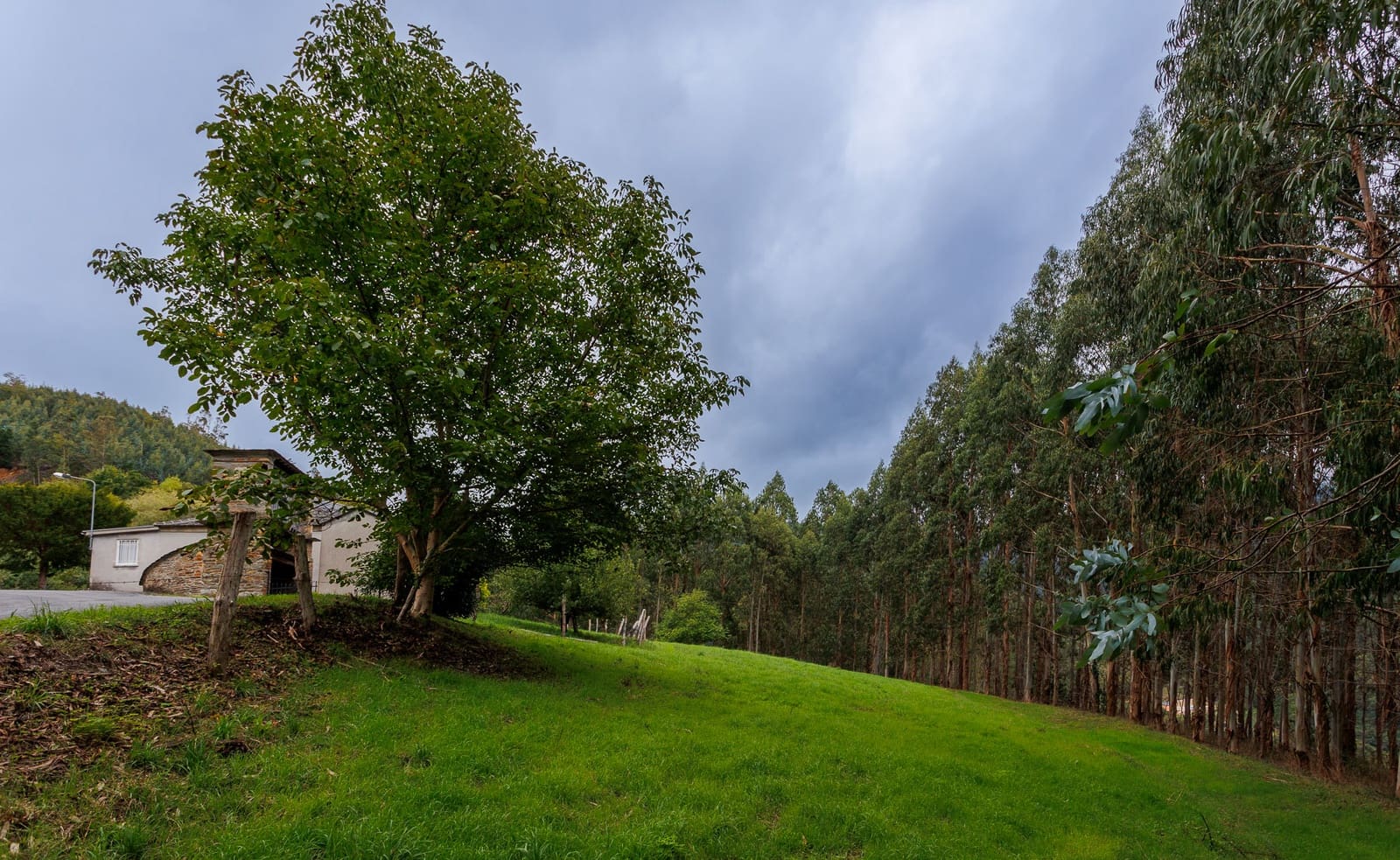 5 soveværelse Finca/Landehus til salg i A Pontenova - € 169.000 (Ref: 8451319)