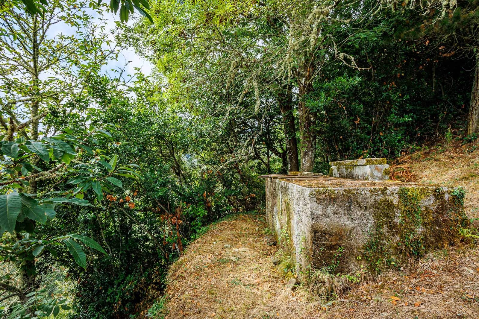 6 quarto Moradia para venda em Ibias - 150 000 € (Ref: 8451331)