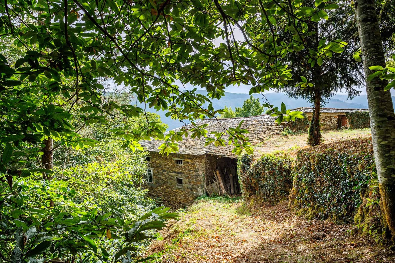6 quarto Moradia para venda em Ibias - 150 000 € (Ref: 8451331)