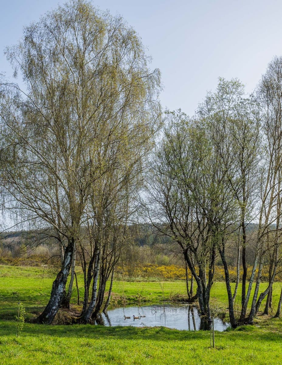 Grunde uden byggetilladelser til salg i Lugo by - € 599.999 (Ref: 8451335)